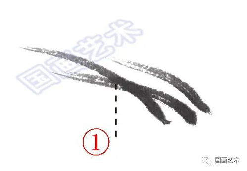 苇茎与芦：大自然的奇妙展现