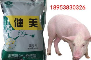 猪一天需要多少赖氨酸？喂猪赖氨酸有哪些好处？