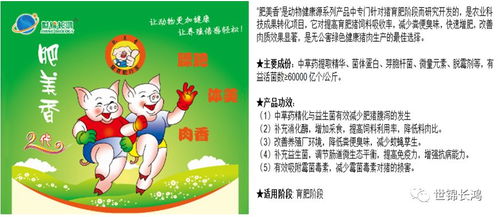 如何有效预防猪群传染病爆发，掌握关键点