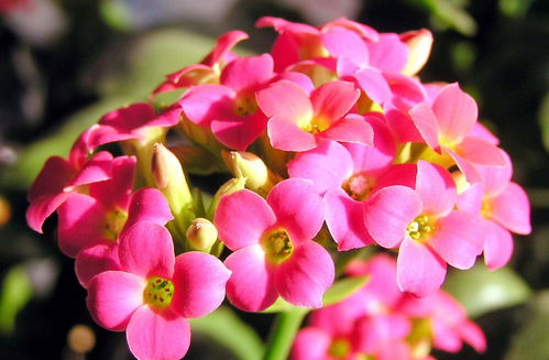 裴翠花的“喝水哲学”