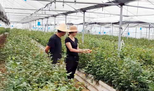 定期观察，及时处理