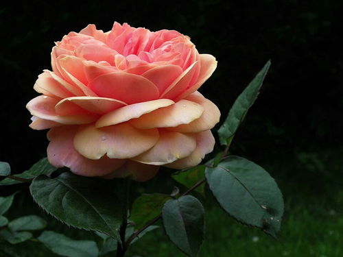 一：天气原因导致