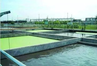 哪家公司geng胜一筹？