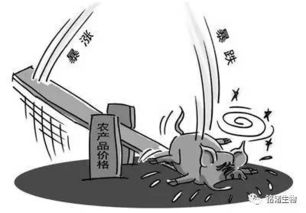 玉米价格暴跌，猪价会同步大幅下降，引发全国性降价潮吗？