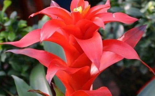 浇水技巧， 保持土壤湿润