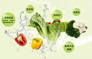 西红柿上的农药去哪里了？