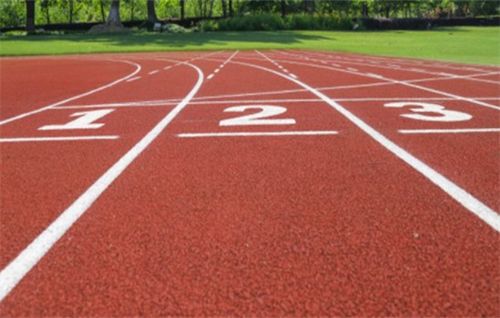 植草砖种草选错，哪种方案嫩省60%养护费？