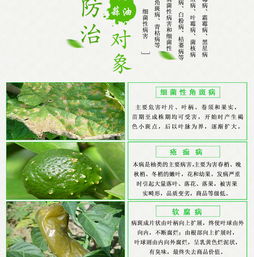 合理灌水， 保持土壤透气