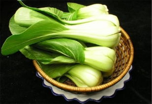 油菜：耐低温的绿色