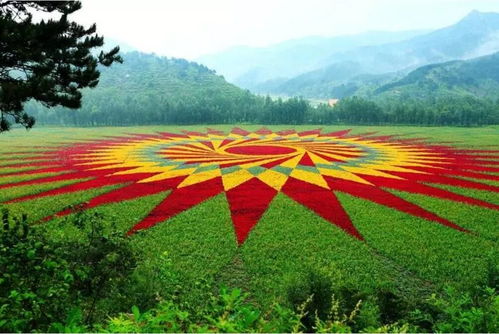 河北承德农户赵师傅的播种实验