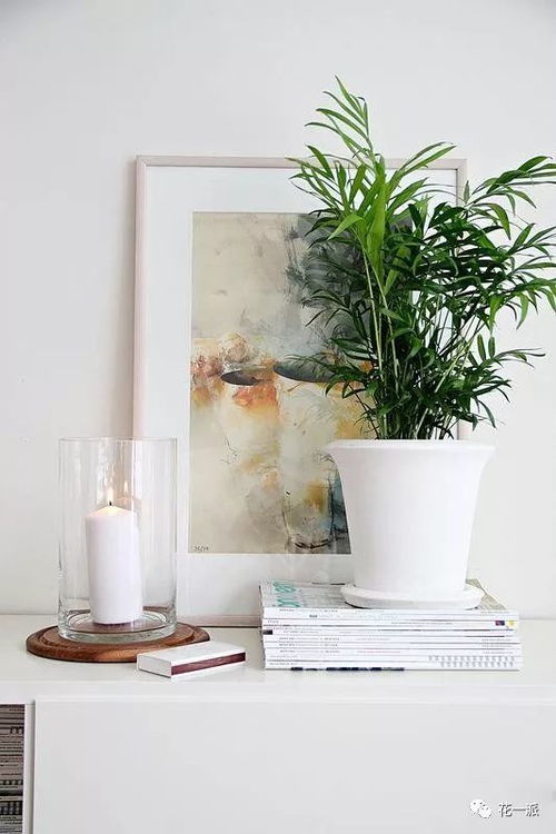 客厅花卉摆放：营造温馨氛围