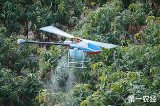 选择合适的药剂