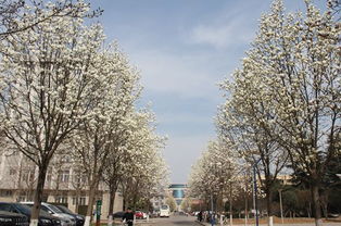 施肥嘛，就像给花儿喂奶