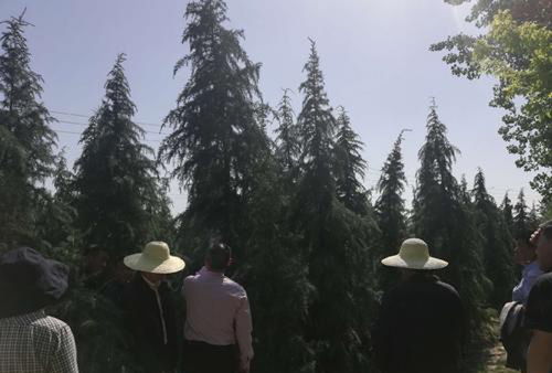 春天的温暖拥抱