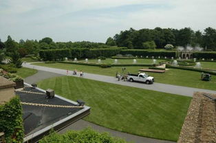 午夜2号：冷季型草坪， 四季如春