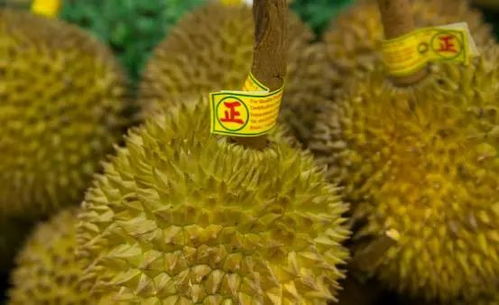 榴莲不能与什么同吃？这份饮食禁忌清单你收好了吗