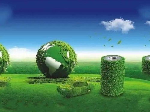 鄂尔多斯橡树存在吗？企业命名与生态保护真相如何？