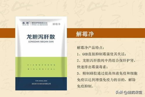 猪病用药有原则，如何正确选择药物