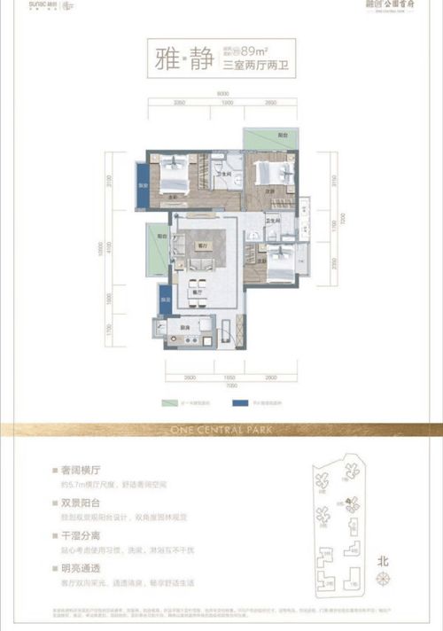 异乡租地种芭乐，探索致富新途径