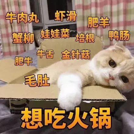 你家兔崽子过冬的窝准备好了吗？保暖措施都到位了吗？