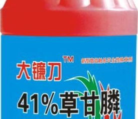 效果咋样？