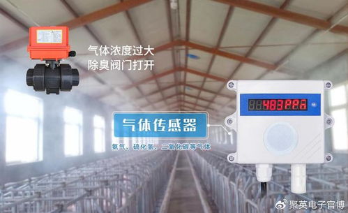 优化猪舍空气质量，实现高效通风换气