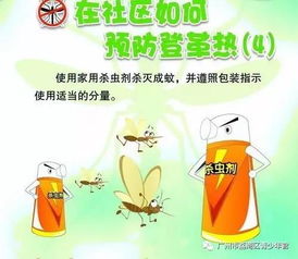 如何利用杀虫剂有效消灭果蝇，防止其繁殖和传播疾病？