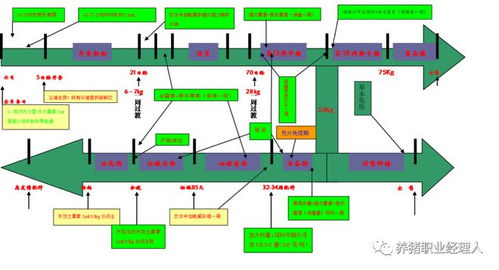 蓝耳阳性场后备驯化过程中，如何从入群到配种全流程严格把控？
