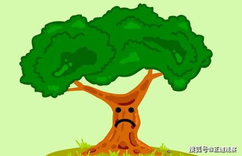守护之力在探索植物世界中的守护者