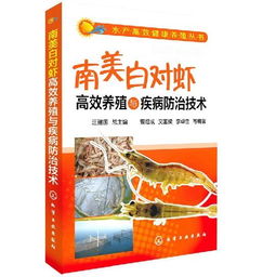 华凤仙高效养殖与护理指南：揭秘其神秘含义