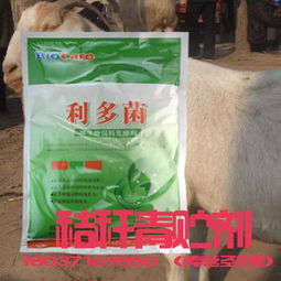 用发酵菌处理青饲料，真的能完全避免腐烂现象发生吗？