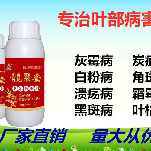 大棚烂根困扰，进口甲霜恶霉灵来帮忙！