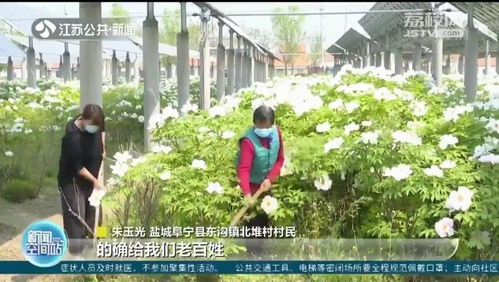 打造现代化生态农业养殖基地