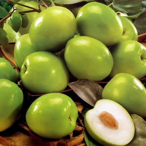 如何正确食用以获取Zui佳效果？