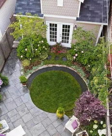 选植物，得像选朋友一样，要投缘