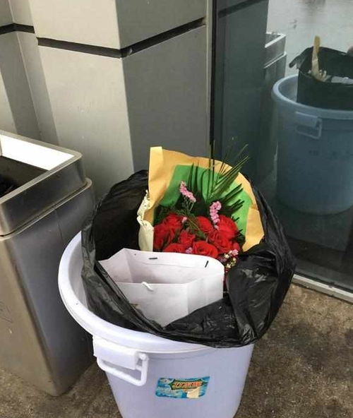 插玫瑰花时的叶子处理小秘籍