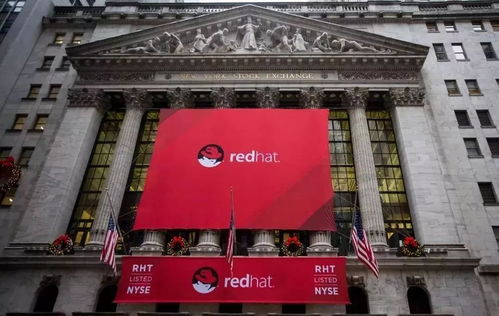 茶油籽收购热点：掌握最新三茶油价格动态！