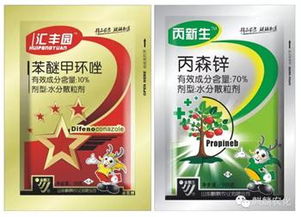 使用方法：对症下药，事半功倍