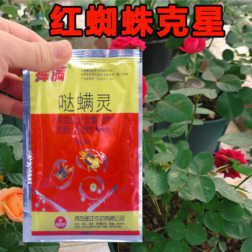红蜘蛛杀虫剂：战斗中的利器