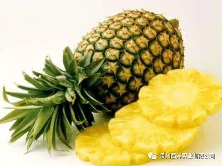 二、土壤的选择