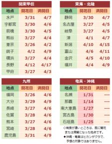 樱花何时绽放？最新赏樱时间表揭晓