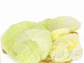 如何掌握芦荟种植方法与技巧，确保芦荟健康生长