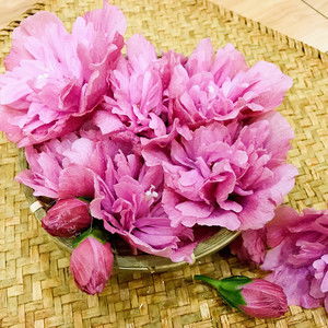 自制“辣椒大蒜水”防治病虫害