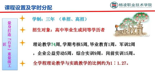 三醉芙蓉养殖技巧与含义解析，畜牧行业必备知识