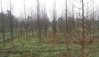 价格影响因素大剖析