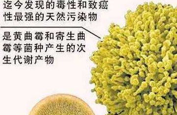 浸种处理， 提高种子活力