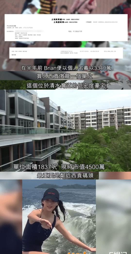 送男同事最佳花选指南