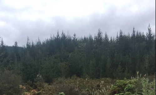 传统风水的堪法