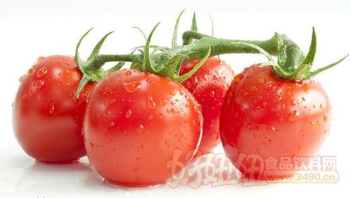 环保健康的种子产品