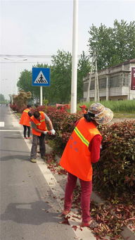 ▋选对品种省大钱